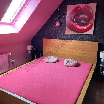 Fotogalerie - foto č. 11